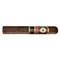 Perdomo Double Aged 12 Years Vintage Sun Grown Gordo Extra