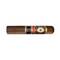 Perdomo Double Aged 12 Years Vintage Sun Grown Robusto