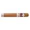 Flor de Copan Classic Toro