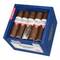 Buena Vista Incognito Short Robusto