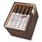 Asylum 13 Medulla Oblongata Robusto