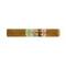 Paradiso Elegancia Robusto
