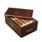 Flor De Selva Robusto