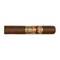 Paradiso Revelation Odyssey