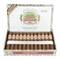 Arturo Fuente Rosado 56